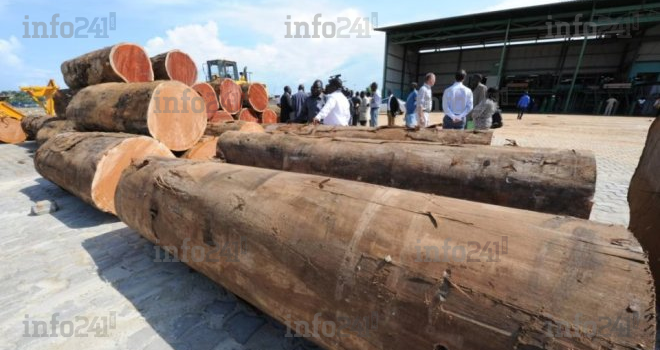 Filière bois au Gabon&nbsp;: le vertigineux paradoxe d’une croissance sous perfusion chinoise