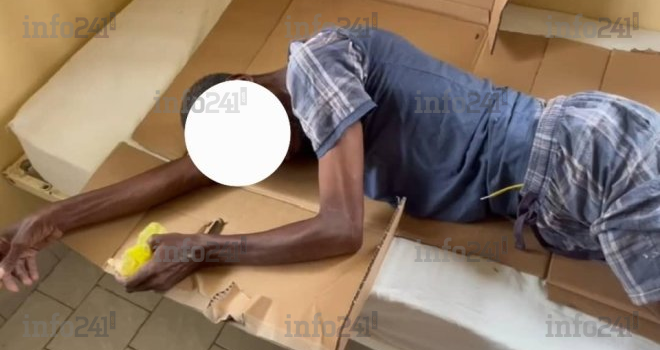 Gabon&nbsp;: Attaqué par un hippopotame et son petit, un pêcheur échappe de justesse à la mort