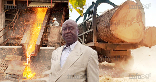 « Le peuple gabonais assiste impuissant au pillage de son pays », dénonce Luc Bengone Nsi