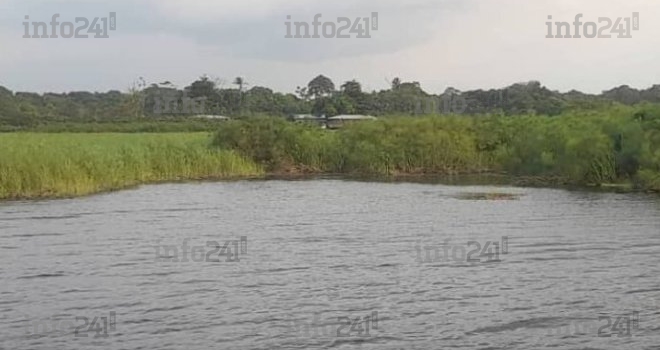 Bendjé&nbsp;: Le cri de détresse des habitants du Lac Anengué envahis de blocs de papyrus