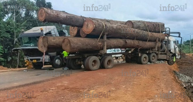 Okolassi : Un mort et plusieurs blessés graves après la collision d’un camion avec un grumier