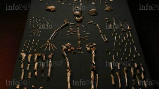 Afrique du Sud&nbsp;: une nouvelle espèce humaine découverte à Maropeng