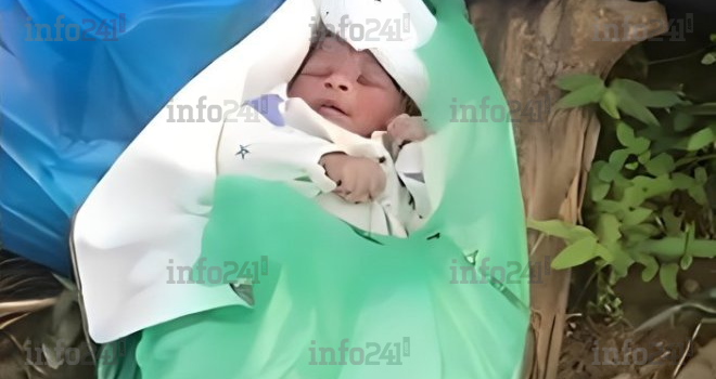 Akanda&nbsp;: Un nourrisson retrouvé vivant après avoir été jeté aux ordures par sa mère