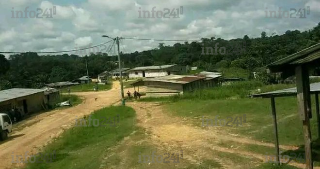 Guiétsou&nbsp;: un chef de village tué par un éléphant qu’il tentait d’éloigner de sa plantation