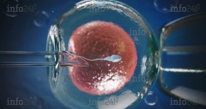 Fécondation in vitro au Gabon&nbsp;: il faudra débourser jusqu’à 3,5 millions à Jeanne Ebori&nbsp;!