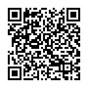 qrcode:https://infos.ga/cote-d-ivoire-la-police-mets-aux-arrets-deux-individus-pour,2813