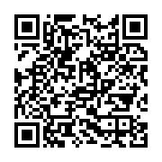 qrcode:https://infos.ga/gabon-oligui-nguema-face-a-la-patate-chaude-du-projet-de,9513