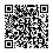 qrcode:https://infos.ga/l-avion-des-pantheres-du-gabon-pour-djouba-a-coute-pres-de-120,3938