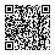 qrcode:https://infos.ga/ali-est-bete-selon-un-manifestant-pas-comme-les-autres,2177