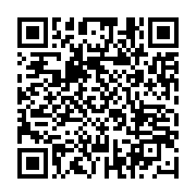 qrcode:https://infos.ga/les-bongo-generaux-d-operette-au-gabon-de-pere-en-fils,5472