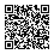 qrcode:https://infos.ga/guinee-presidentielle-amnesty-international-exhorte-les,1252