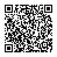 qrcode:https://infos.ga/affaire-bilie-by-nze-ce-que-disent-reellement-les-textes-sur-la,11827