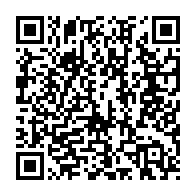 qrcode:https://infos.ga/referendum-2024-85-589-gabonais-du-woleu-ntem-aux-urnes-pour-une,2218