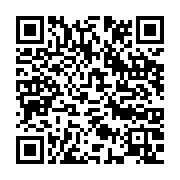 qrcode:https://infos.ga/greve-illimitee-a-l-artf-salaires-impayes-owendo-sur-les-rails,2680
