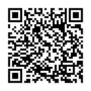 qrcode:https://infos.ga/electricite-deux-navires-prets-a-produire-mais-le-gabon-tarde-a,9707