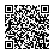 qrcode:https://infos.ga/kenya-6-000-armes-detruites-dans-une-demonstration-de-force,2447