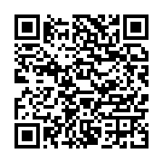 qrcode:https://infos.ga/gabon-l-aile-ndong-obiang-de-reagir-acte-sa-fusion-absorption,11730