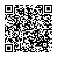 qrcode:https://infos.ga/gabon-un-candidat-udb-d-oligui-nguema-derape-en-plein-meeting-et,10930