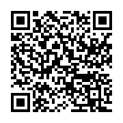 qrcode:https://infos.ga/gabon-revisions-constitutionnelles-ou-strategie-du-coup-d-etat,5591
