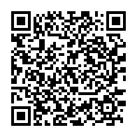 qrcode:https://infos.ga/presidentielle-2023-candidat-contre-le-grand-remplacement-assele,1796