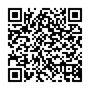 qrcode:https://infos.ga/patrichi-tanasa-l-ajev-les-alihanga-et-les-85-milliards-derobes,4771