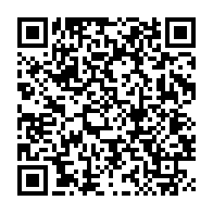 qrcode:https://infos.ga/locales-legislatives-2018-la-presidence-gabonaise-evoque-un-raz,3915