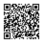 qrcode:https://infos.ga/guinee-la-france-l-union-africaine-la-cedeao-les-nations-unies,990