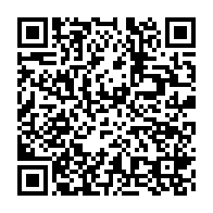 qrcode:https://infos.ga/les-gilets-jaunes-ont-de-nouveau-impose-un-samedi-noir-en-france,4054
