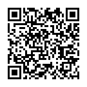 qrcode:https://infos.ga/niger-203-morts-en-six-jours-dans-des-attaques-terroristes,769