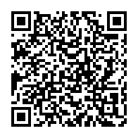 qrcode:https://infos.ga/l-economie-industrielle-au-gabon-entre-imperatif-de-souverainete,11936