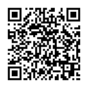 qrcode:https://infos.ga/le-climat-des-affaires-en-afrique-une-nouvelle-donne-pour-les,3205